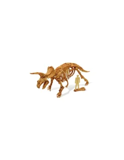 Buki France Kit de fouille tricératops - Buki Online