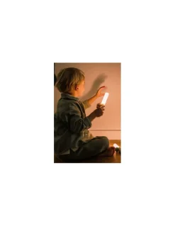 The Zoofamily Lampe 3-en-1 Zoo Light Renard - Best