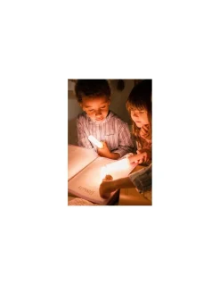 The Zoofamily Lampe 3-en-1 Zoo Light Renard - Best