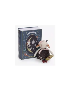 Moulin Roty Livre belle nuit Après la pluie - New