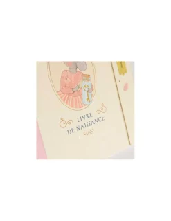 Moulin Roty Livre de naissance La petite école de danse - Online