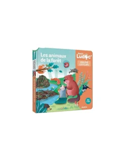Auzou Livre documentaire les animaux de la forêt Ludoc - Clearance
