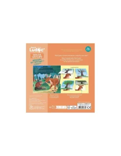 Auzou Livre documentaire les animaux de la forêt Ludoc - Clearance