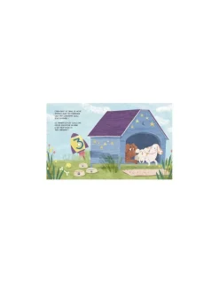 Sassi junior Livre Familles nombreuses - Sassi Best