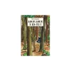 Moulin Roty Livre Loup, Loup, y es-tu ? - L'école des loisirs Clearance