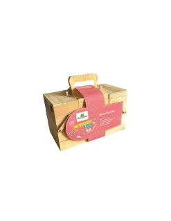 Sycomore Ma box d'activités fils - Sale