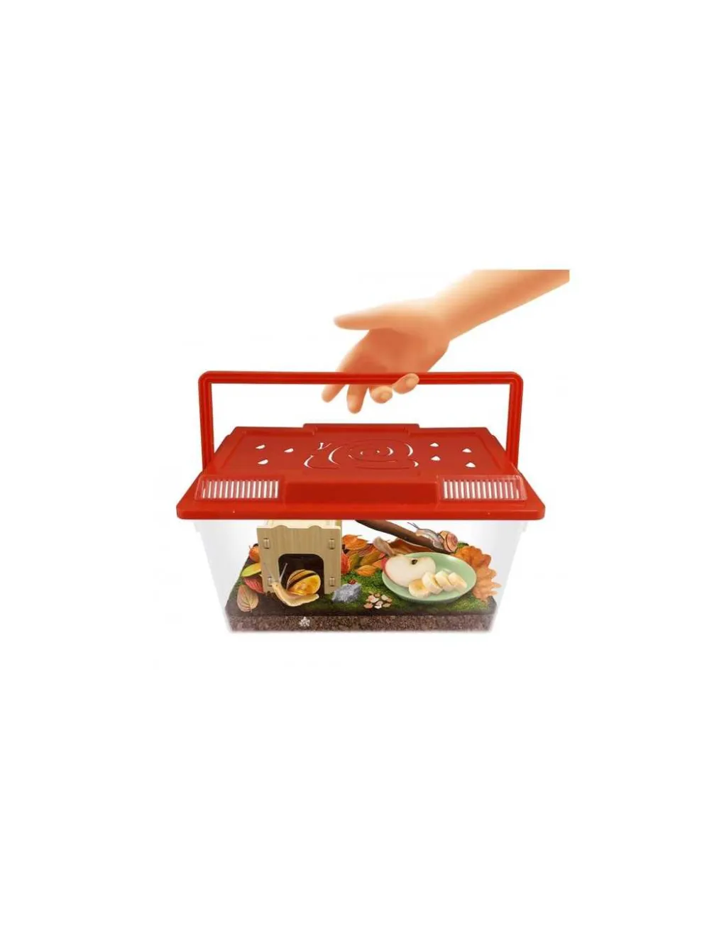 Buki France Maison des escargots - Buki Online