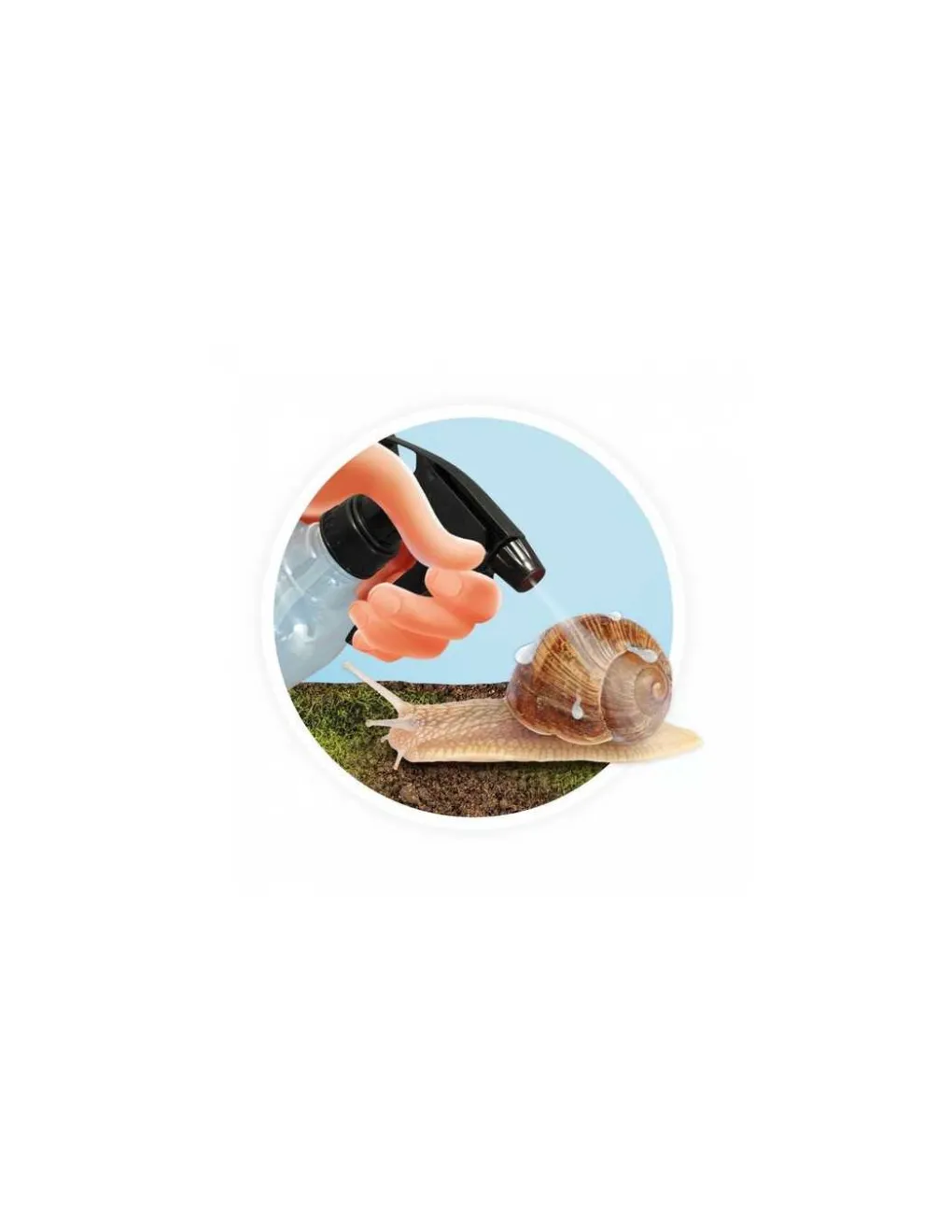 Buki France Maison des escargots - Buki Online