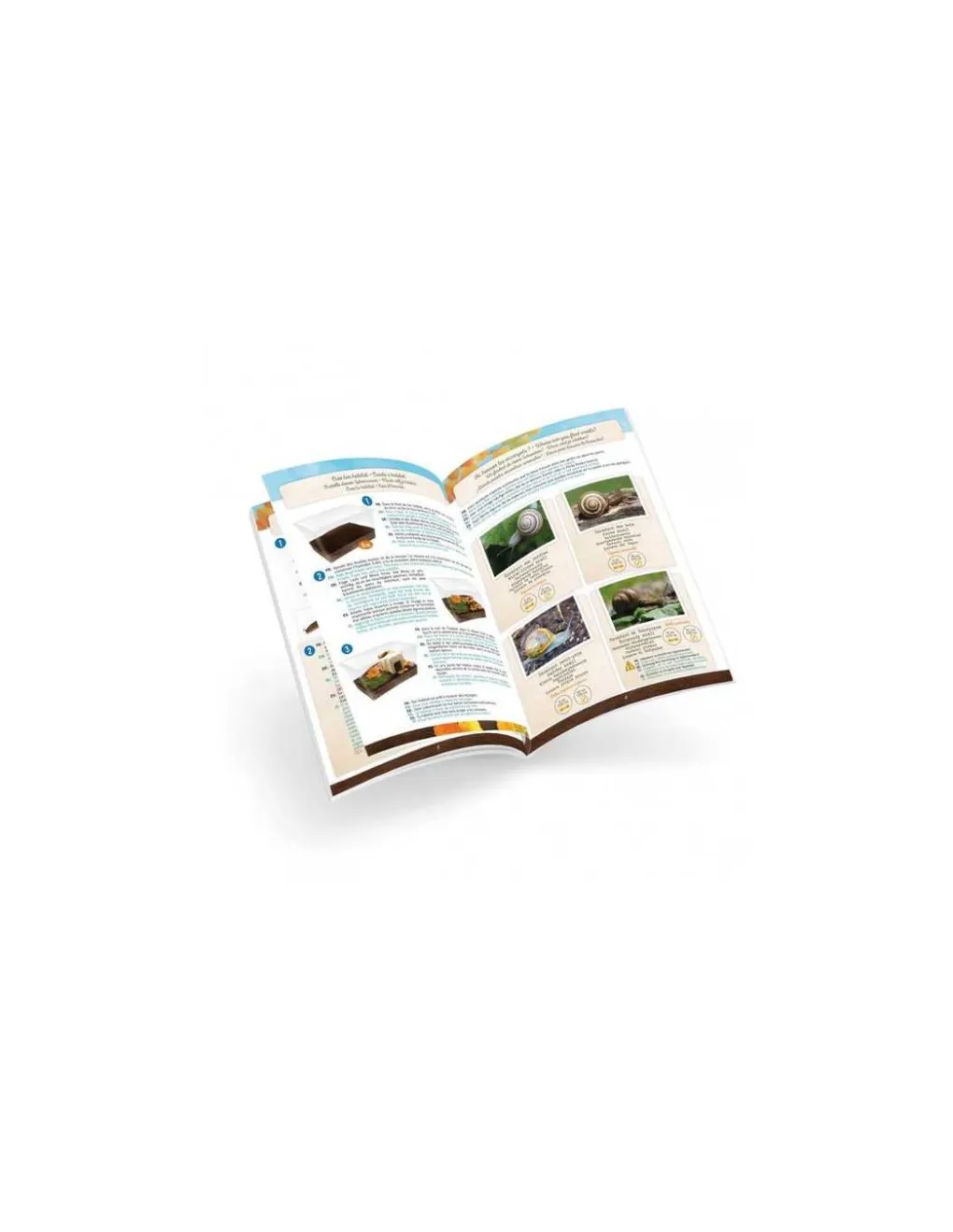 Buki France Maison des escargots - Buki Online