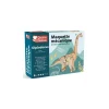 Graine Creative Maquette 3D mécanique Diplodocus - Graine Créative Outlet