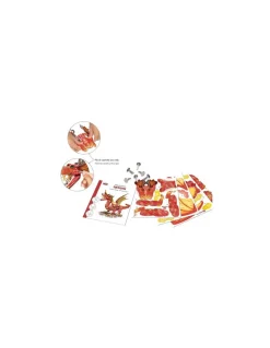 Crea Lign’ Maquette géante dragon 3D - CréaLign' Hot