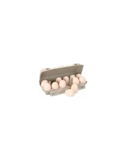 Vilac Mémo sonore Mém'oeuf - Hot