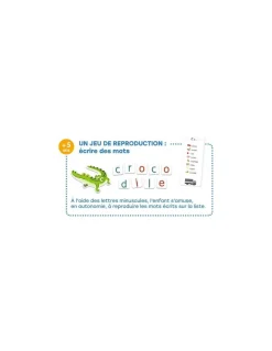 Djeco Mon grand coffret des lettres - New