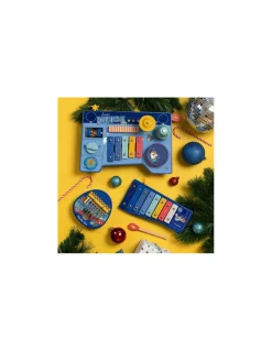 Moulin Roty Métallophone Puce & Pilou - Discount
