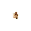 Beleduc Peluche gant marionnette écureuil Online