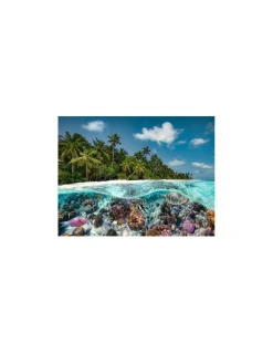Ravensburger Puzzle 2000 pièces Une plongée aux Maldives - Online