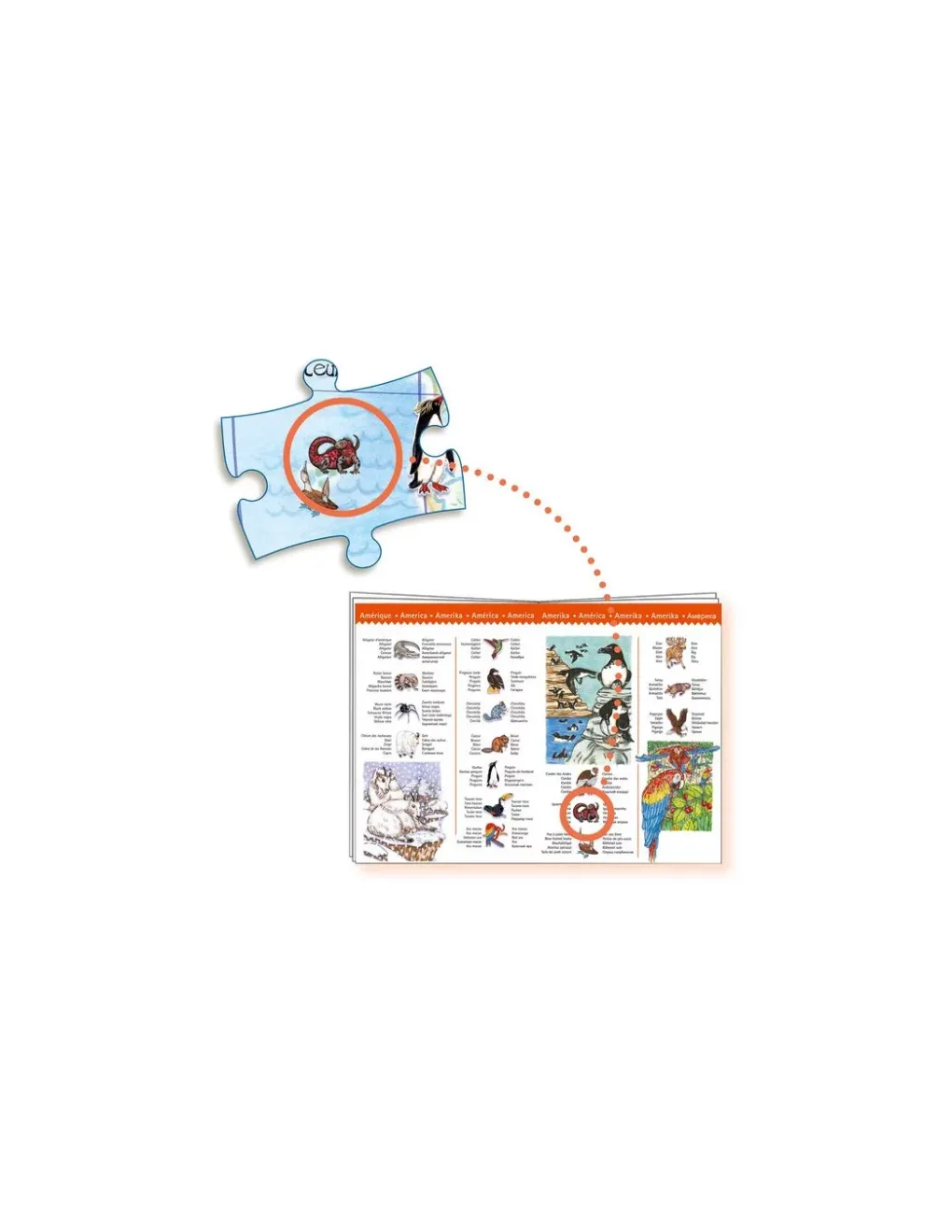 Djeco Puzzle d'observation animaux du monde 100 pièces - Best