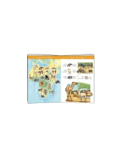 Djeco Puzzle d'observation animaux du monde 100 pièces - Best