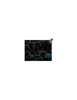 Janod Puzzle magique La forêt -