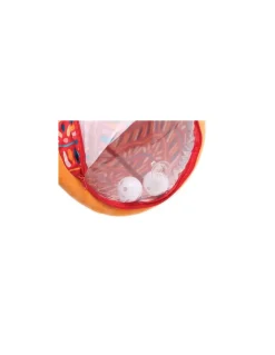 LUDI Rouleau d’activités lion - Clearance