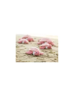 Les Deglingos Sauvenou la tortue rose - Les Ptipotos by Déglingos New