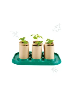 Hape Toys Serre pour appentis jardiniers - Hape Clearance