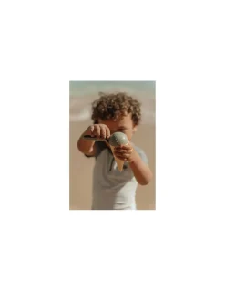 Little Dutch Set de glaces -