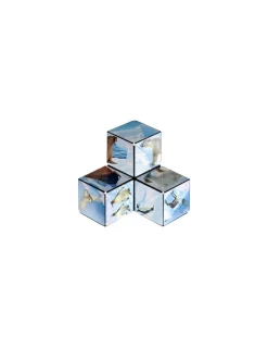 Blackrock Games Shashibo Arctic Hot