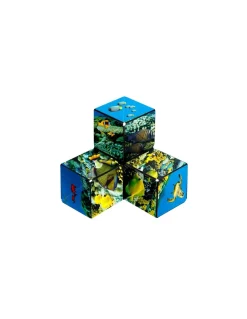 Blackrock Games Shashibo Océan Hot